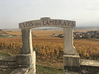 Clos des Lambrays Weinfeld