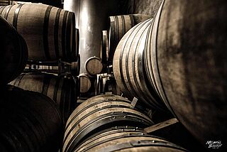 Vintønder i vinkælderen