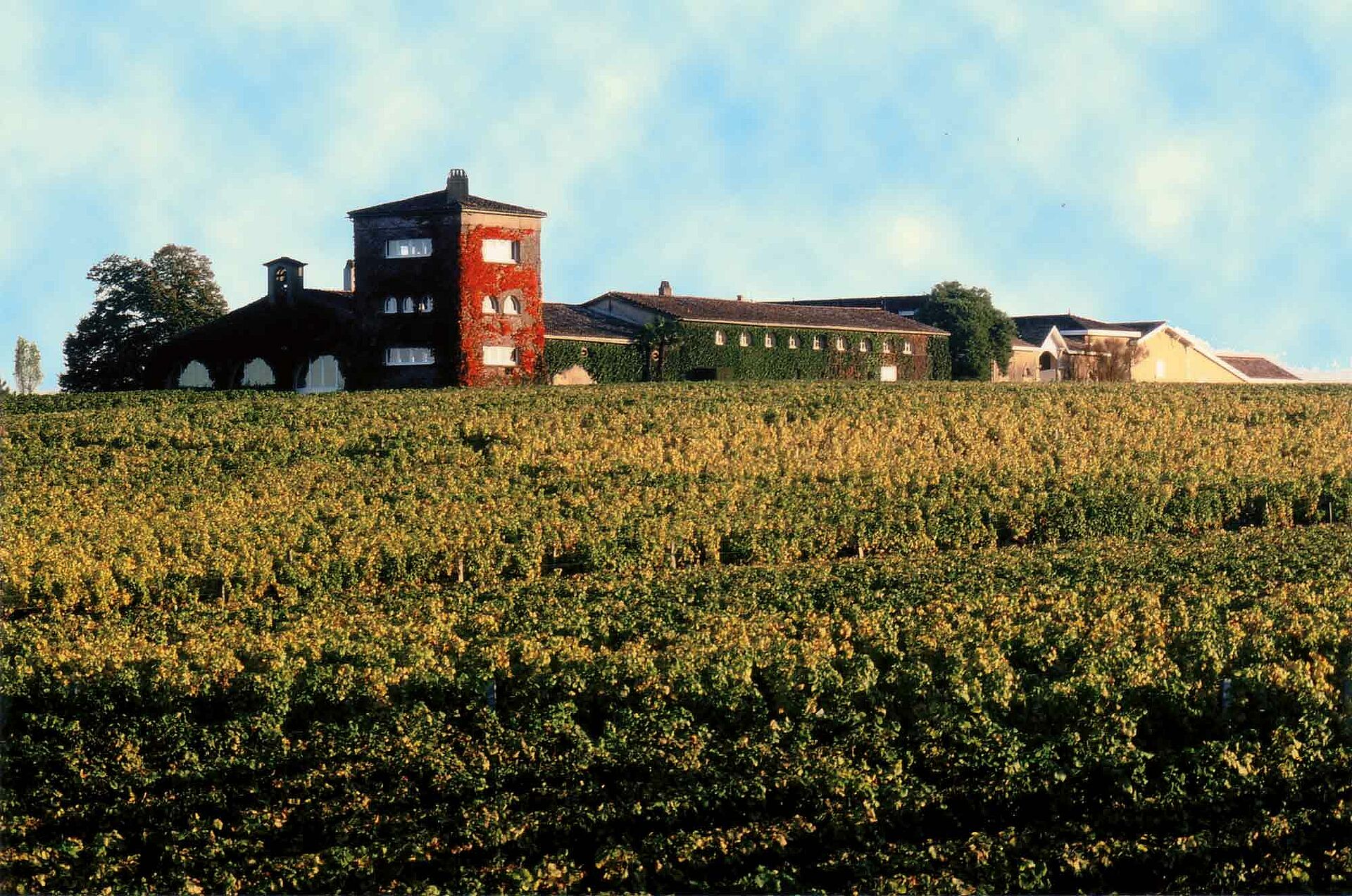 Weingut