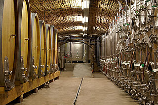 Vinregion Pfalz, Vinkælder Vinregion Pfalz, vinkældre og kældre