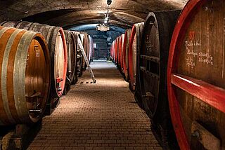 Weinkeller und Weinfaesser