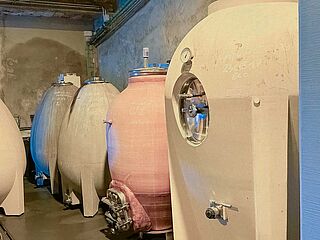 Amphoren im Weinkeller