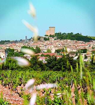 Rhone vinregion Rhone vinregion, huse og landskab