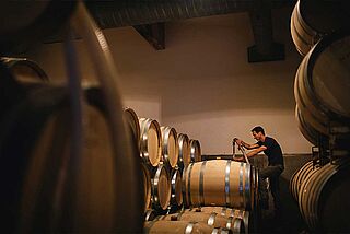 Weinkeller von Beaux Freres