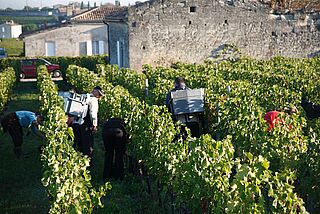 Feldarbeit bei Gaillard Feldarbeit bei Gaillard