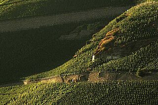 Weingut Thomas Haag / Schloss Lieser