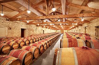 Weinkeller und Weinfaesser des Weinguts Mauvasin Barton