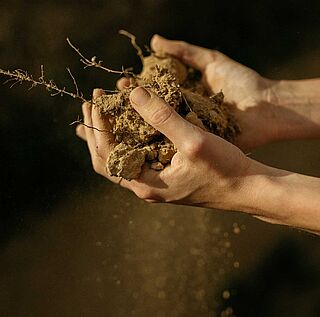 Terroir in der Region