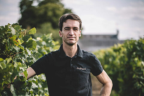 Winzer auf dem Weinfeld Clos Rougeard