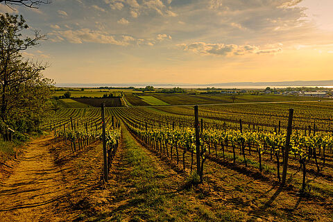 Die Burgenland Region