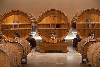 Weinkeller mit Fässern bei Larmandier-Bernier Weinkeller mit Fässern
