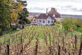 Blick auf das Weingut Domaine de L’Arlot