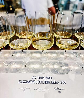 Mange vinglas med en prøve fra flaskerne