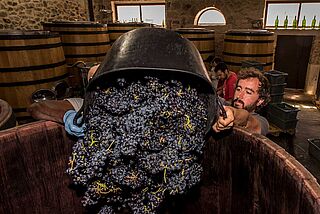 Kellerarbeit bei Comando G