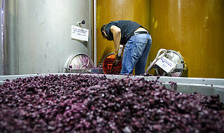 Arbeit im Keller beim Weingut Petrolo