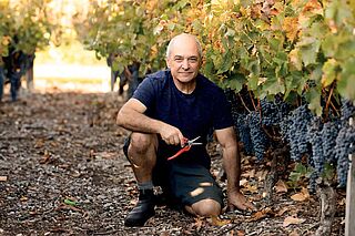 Vinmageren Cloudburst sidder i vinmarken