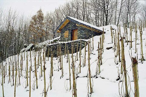 Domaine des Ardoisieres im Winter
