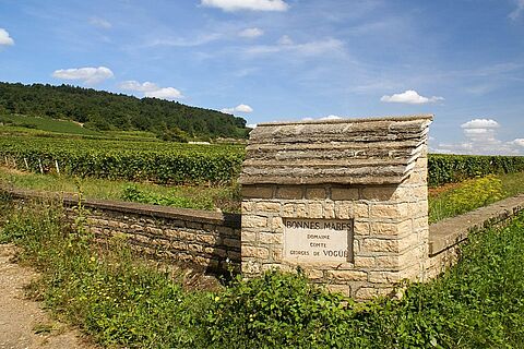 Weingut Comte Georges de Vogue