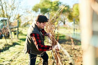 Eastern Peake Winery