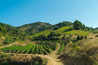 Die Landschaft Kataloniens