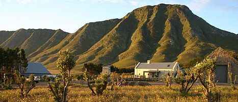 Alheit - Hemelrand Vingård