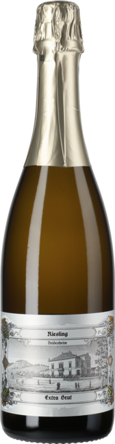 Riesling Sekt Extra Brut Dr. Deinhard Flaschengärung