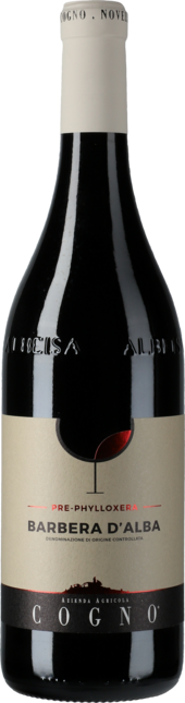 Barbera d'Alba Pre-Phylloxera 2020