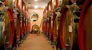 Weinkeller, Weinfässer Tedeschi