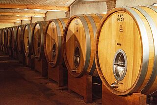 Weinkeller, Weinfaesser - Aldo Conterno