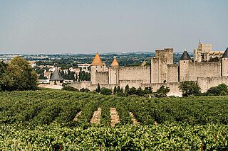 Blick auf die Weinfelder mit einer Burg im Hintergrund
