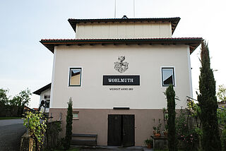 Wohlmuth