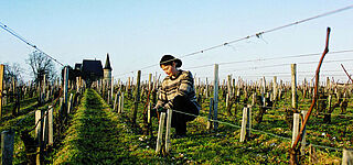 Pichon Longueville Pauillac