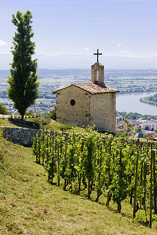 Kirke ved Rhône