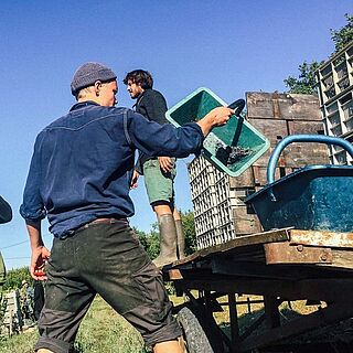 Store rapporter om vores bedste vinproducenter