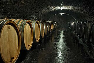 Keller vom Weingut Geltz Zilliken Keller vom Weingut Geltz Zilliken