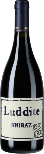 Shiraz 2016
