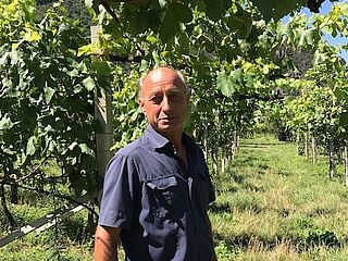 Heinrich Mayr im Weinberg Heinrich Mayr im Weinberg