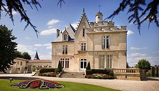 Château, slot, Pape Clement vingård