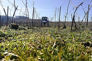 Christophe Mignon Weinfeld