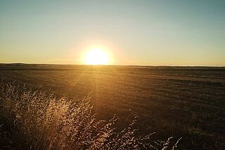 Weinfeld Bodegas Pita