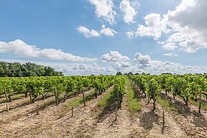 Chateau Chantegrive
