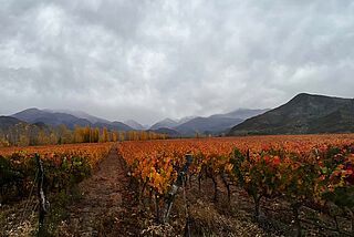 Landschaft in Argentinien