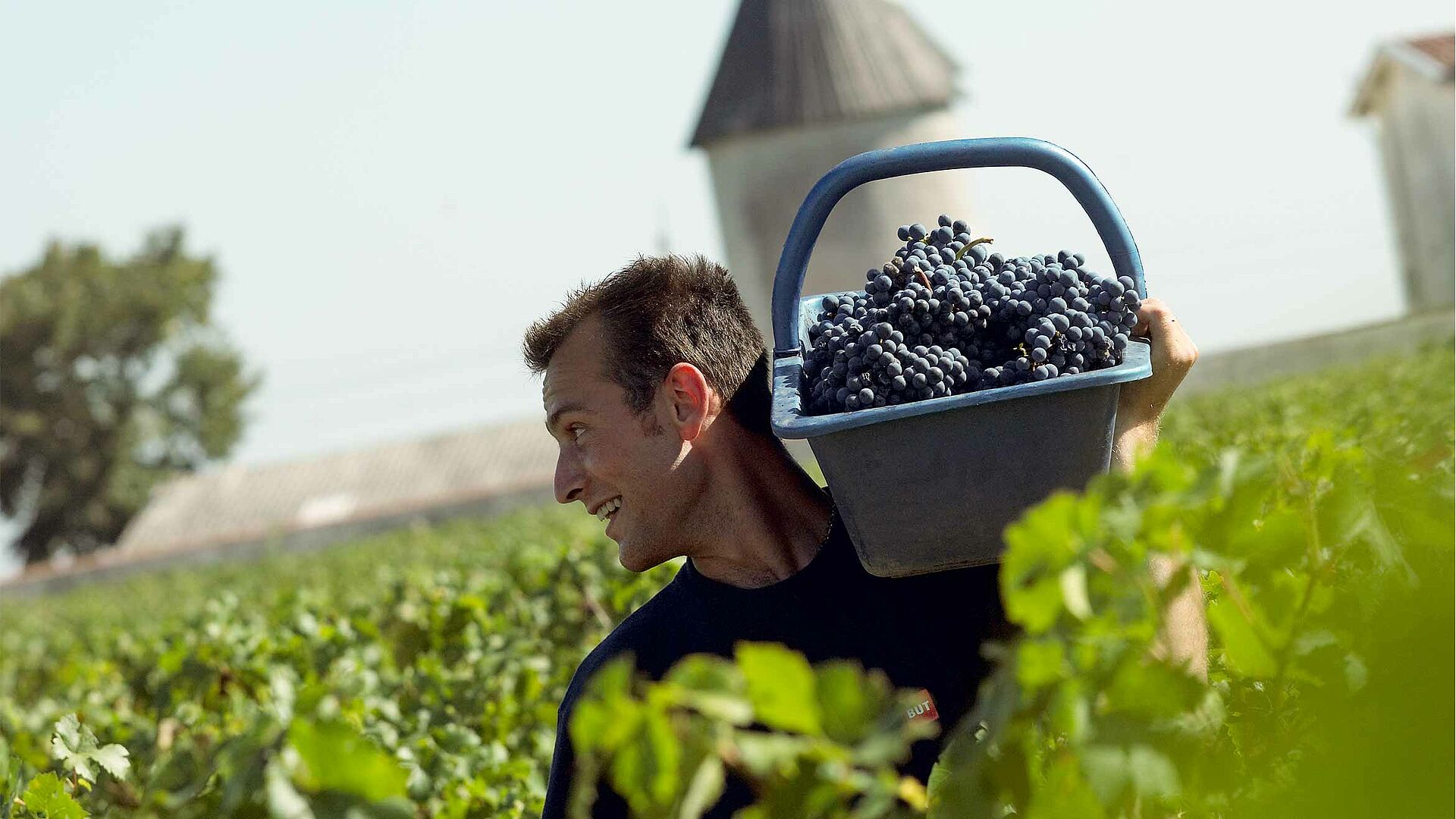 La Lagune Bordeaux Weingut