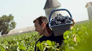 La Lagune Bordeaux vingård