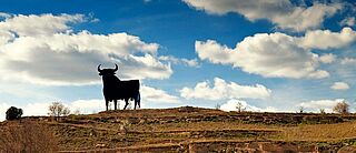 Ein Schild in Form eines Stiers auf einem Feld