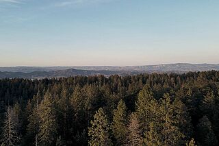 Landschaft des Weinguts Dunn Vineyards Landschaft des Weinguts Dunn Vineyards