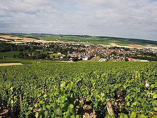 Frankrig, Chablis - Vingård, vingård Frankrig, Chablis - Vingård, vingård