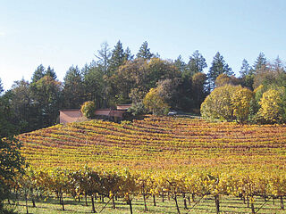 Philip Togni Weinberg