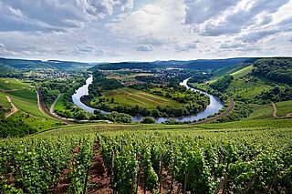 Moselschleife
