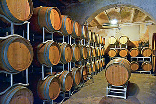 Weinkeller des Weinguts Petrolo